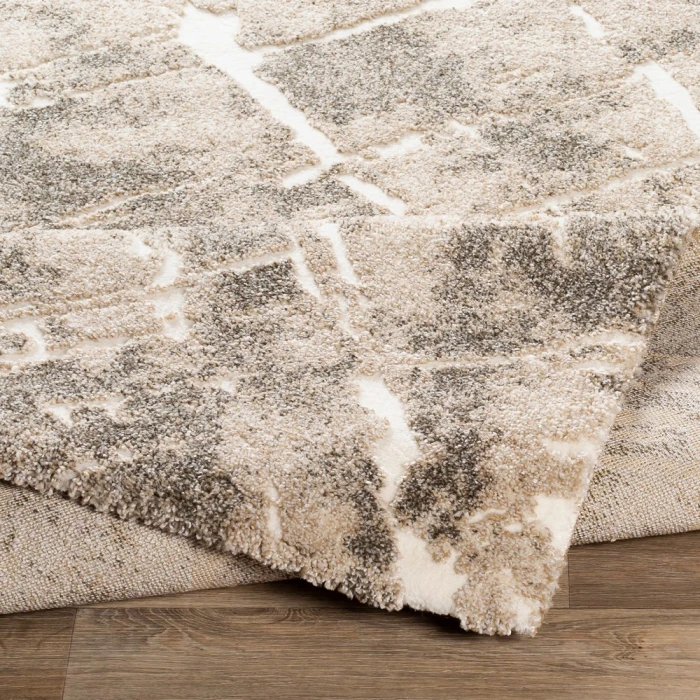 Surya Tuscany TUS-2300 Area Rug
