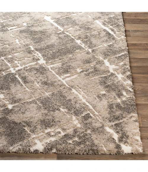 Surya Tuscany TUS-2300 Area Rug