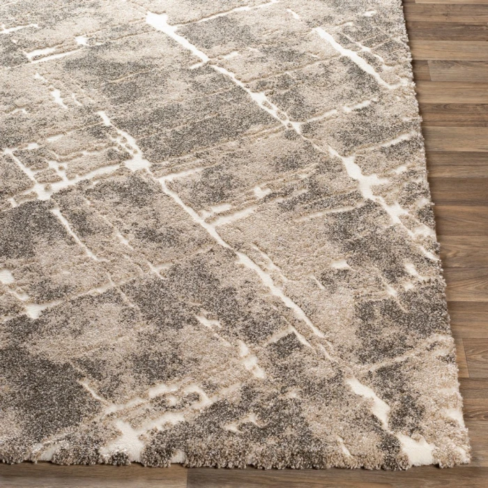 Surya Tuscany TUS-2300 Area Rug