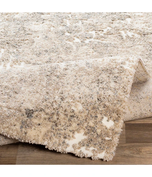 Livabliss Tuscany TUS-2304 Area Rug