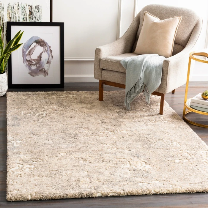 Livabliss Tuscany TUS-2304 Area Rug