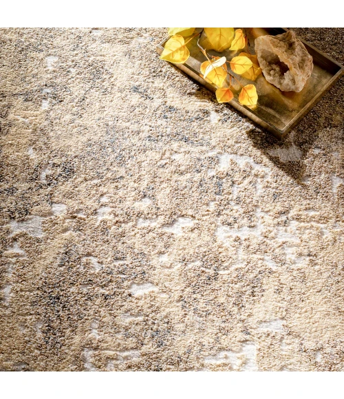 Livabliss Tuscany TUS-2304 Area Rug