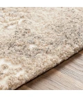 Livabliss Tuscany TUS-2304 Area Rug
