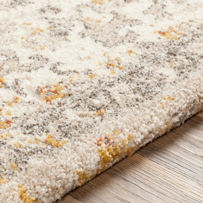 Surya Tuscany TUS-2307 Area Rug