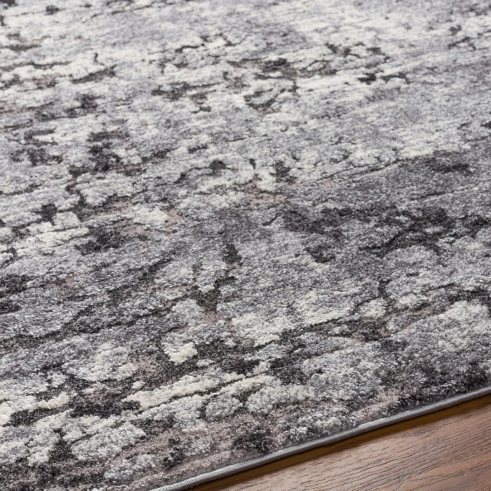 Surya Tuscany TUS-2310 2  x 3  Rug