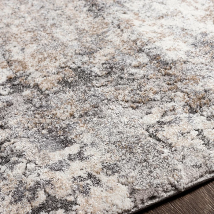 Surya Tuscany TUS-2311 2  x 3  Rug