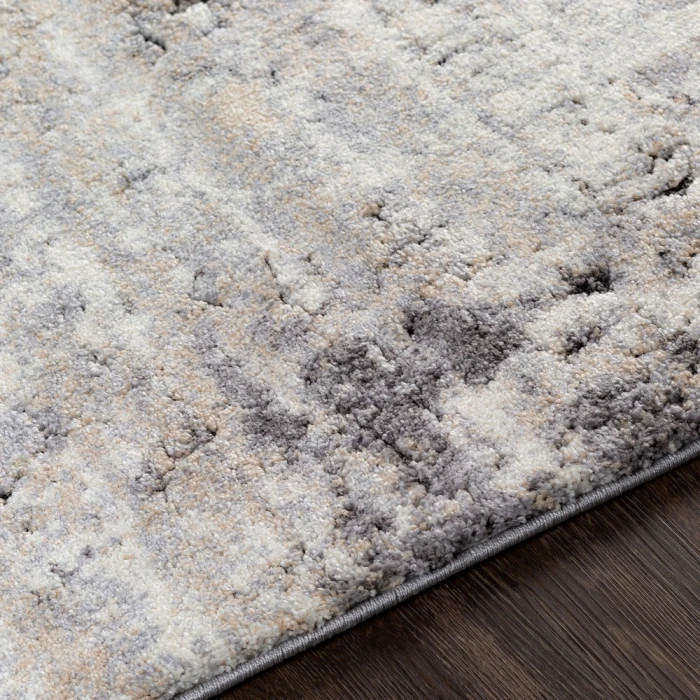 Surya Tuscany TUS-2312 2  x 3  Rug