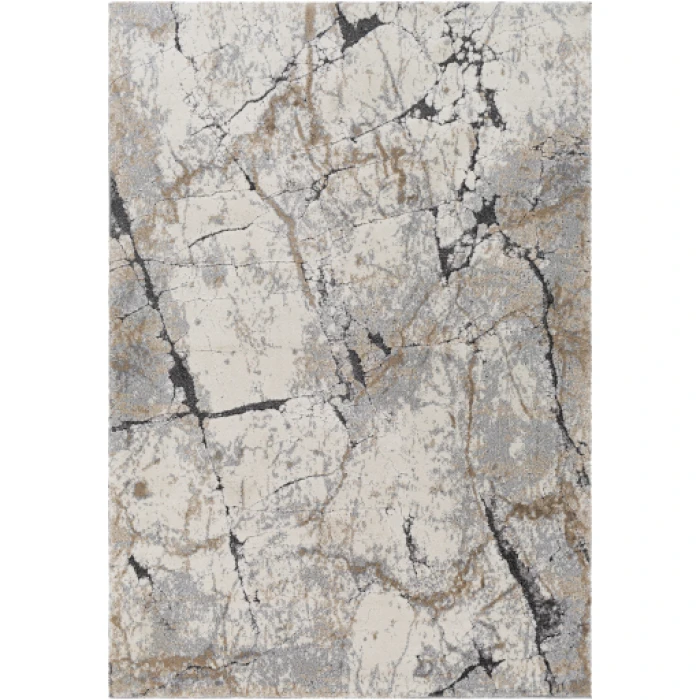Surya Tuscany TUS-2314 2  x 3  Rug