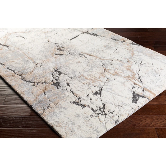 Surya Tuscany TUS-2314 2  x 3  Rug