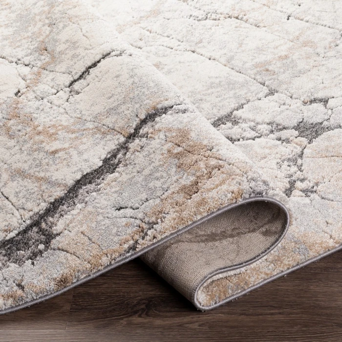 Surya Tuscany TUS-2314 2  x 3  Rug