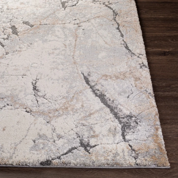 Surya Tuscany TUS-2314 2  x 3  Rug