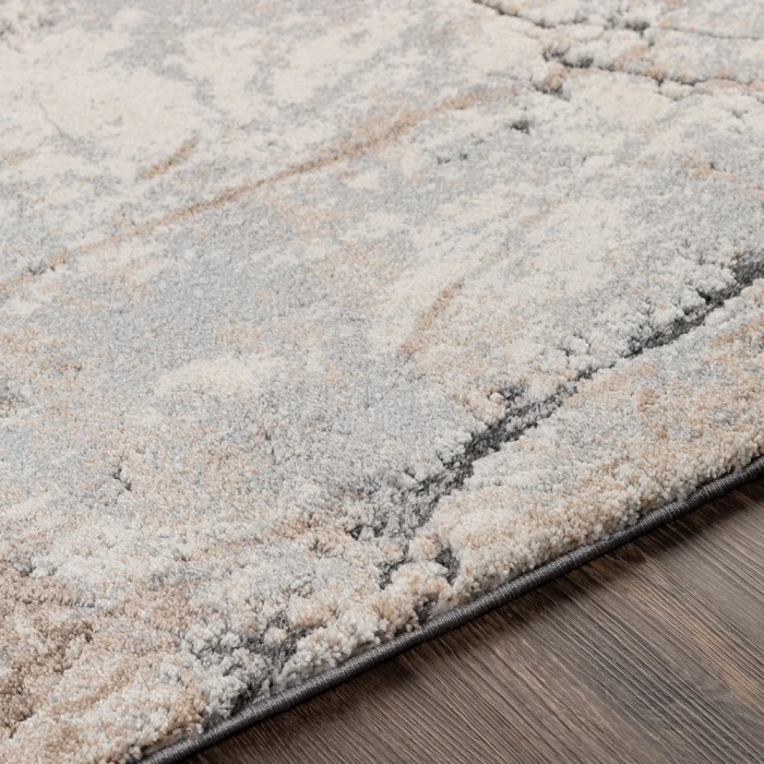 Surya Tuscany TUS-2314 2  x 3  Rug
