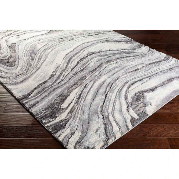 Surya Tuscany TUS-2316 2  x 3  Rug