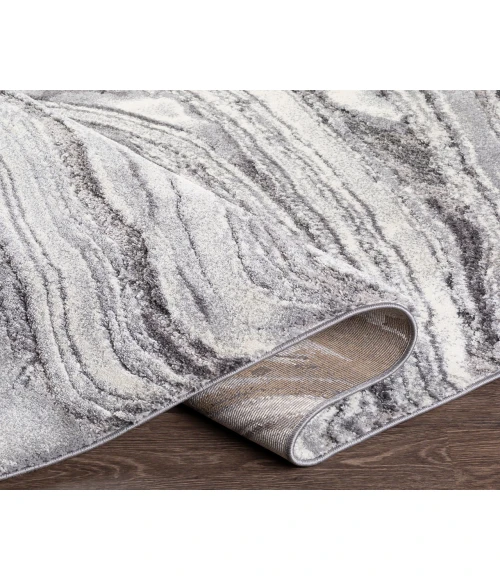 Surya Tuscany TUS-2316 2  x 3  Rug