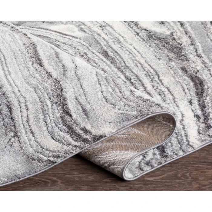 Surya Tuscany TUS-2316 2  x 3  Rug