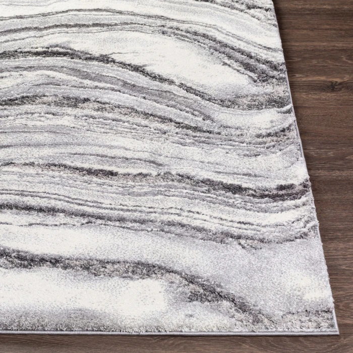 Surya Tuscany TUS-2316 2  x 3  Rug