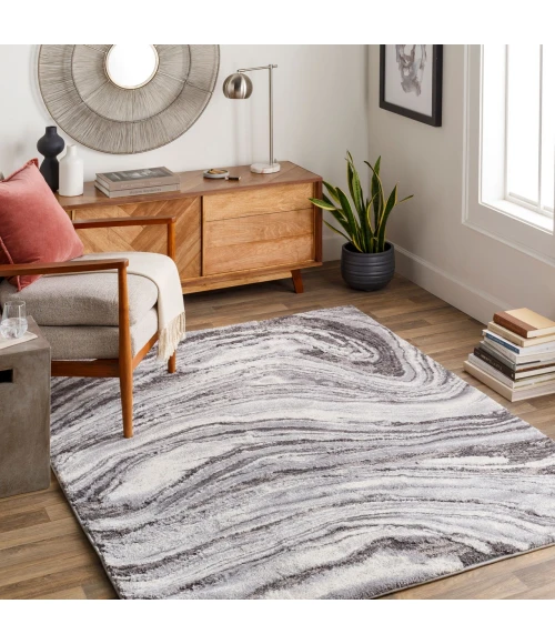 Surya Tuscany TUS-2316 2  x 3  Rug
