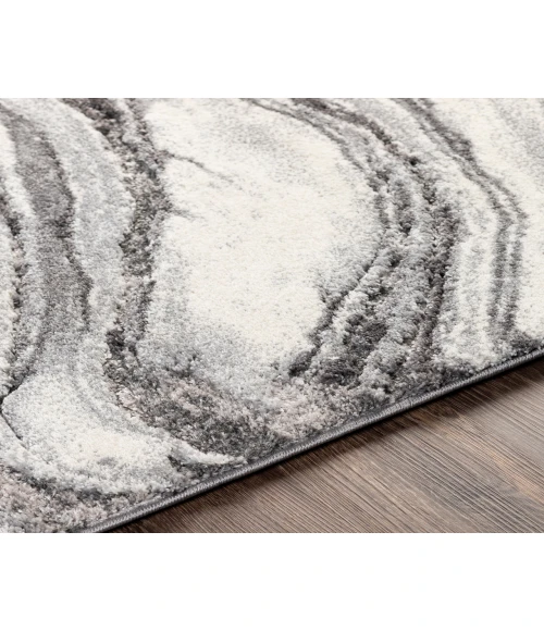 Surya Tuscany TUS-2316 2  x 3  Rug