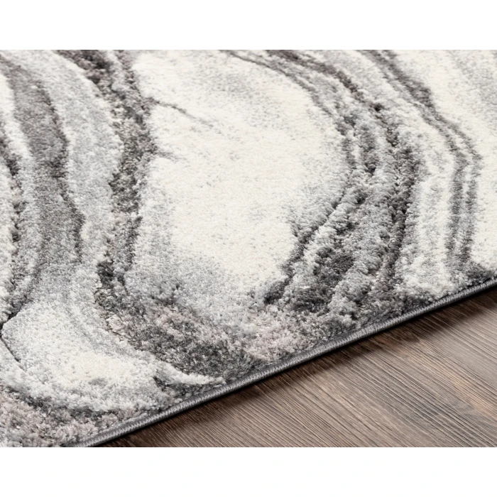 Surya Tuscany TUS-2316 2  x 3  Rug