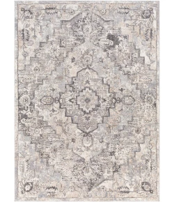 Livabliss Tuscany TUS2321 Gray Cream Area Rug 2 ft. X 3 ft. Rectangle