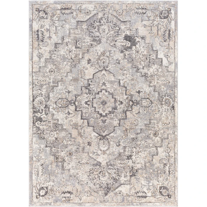 Livabliss Tuscany TUS-2321 2 x 3 Rug