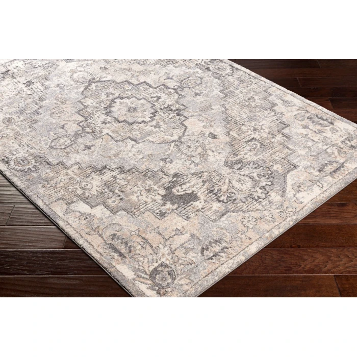 Livabliss Tuscany TUS-2321 2 x 3 Rug