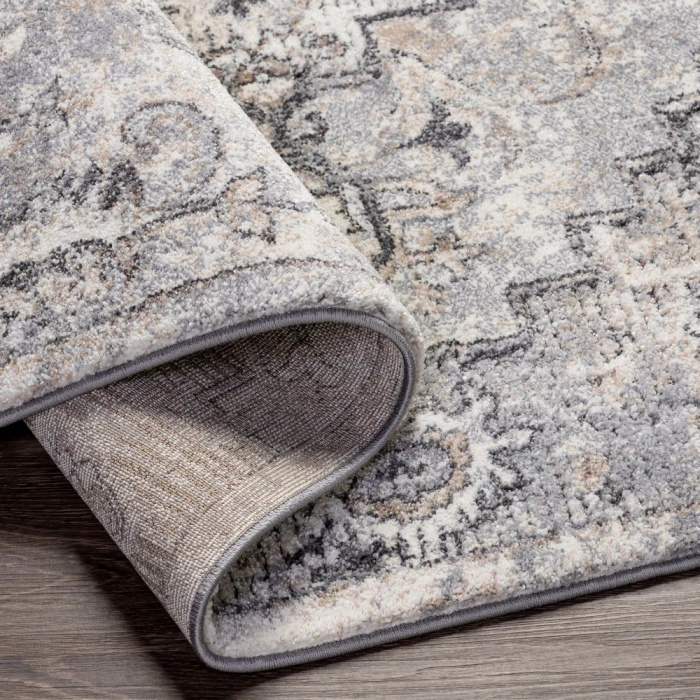 Livabliss Tuscany TUS-2321 2 x 3 Rug