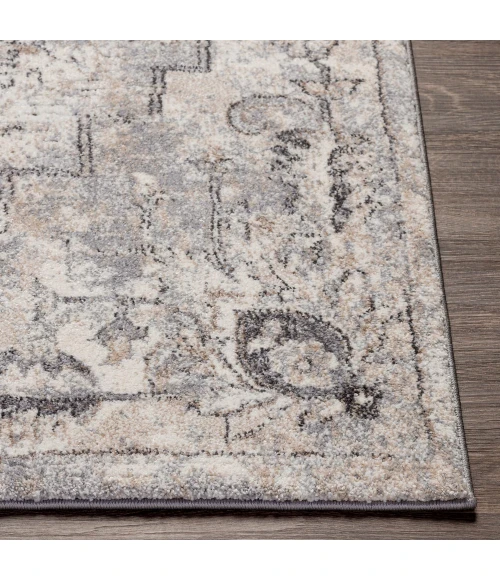 Livabliss Tuscany TUS-2321 2 x 3 Rug