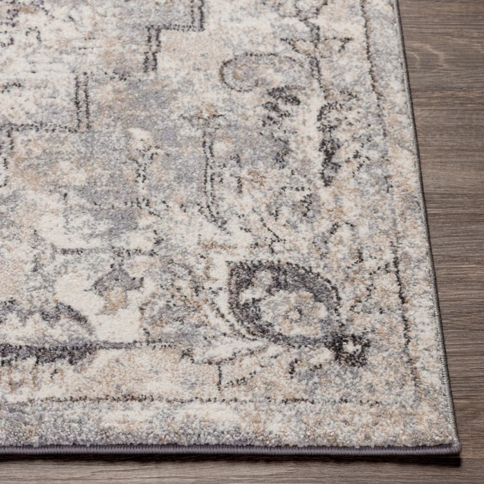 Livabliss Tuscany TUS-2321 2 x 3 Rug