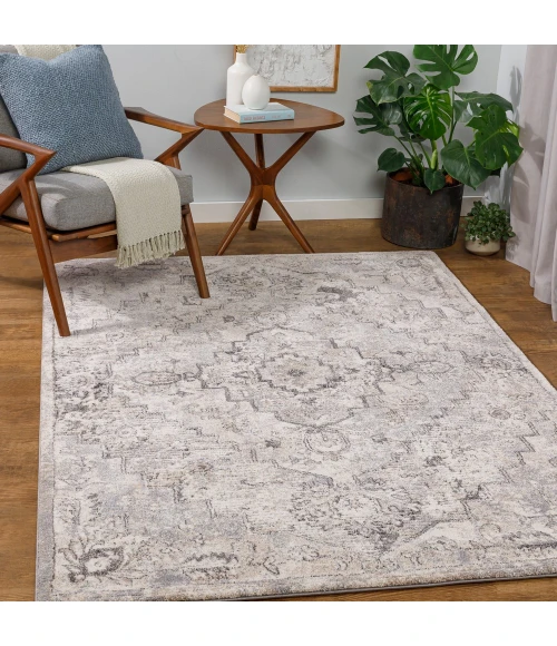 Livabliss Tuscany TUS-2321 2 x 3 Rug