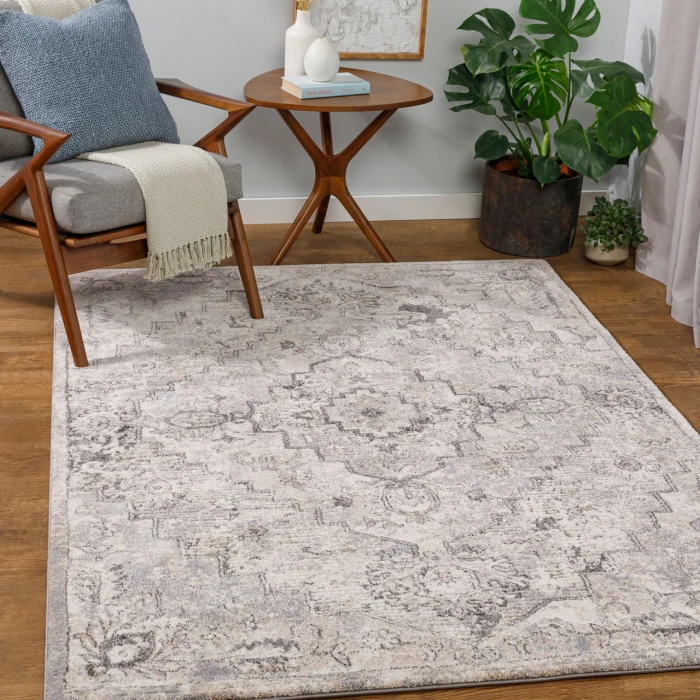 Livabliss Tuscany TUS-2321 2 x 3 Rug