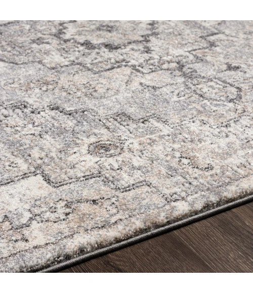 Livabliss Tuscany TUS-2321 2 x 3 Rug