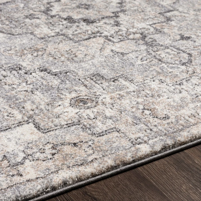 Livabliss Tuscany TUS-2321 2 x 3 Rug