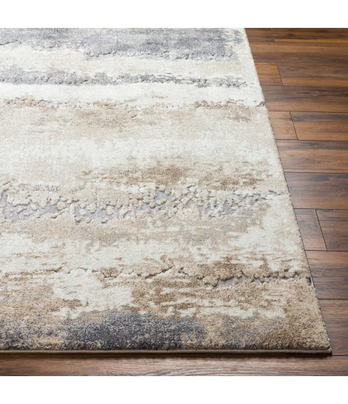 Surya Tuscany Rug TUS2344