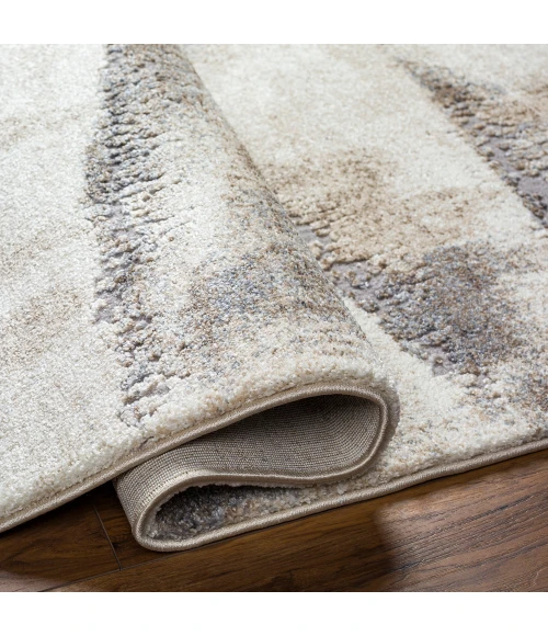 Surya Tuscany Rug TUS2345