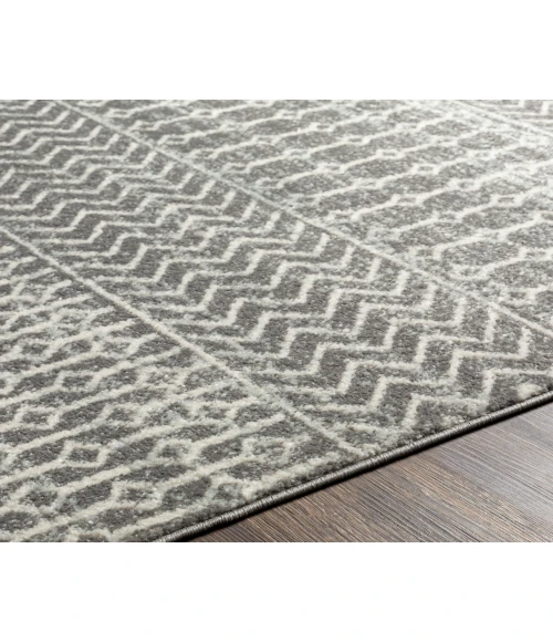 Surya Tevazu TVZ-2387 9' x 12' Rug