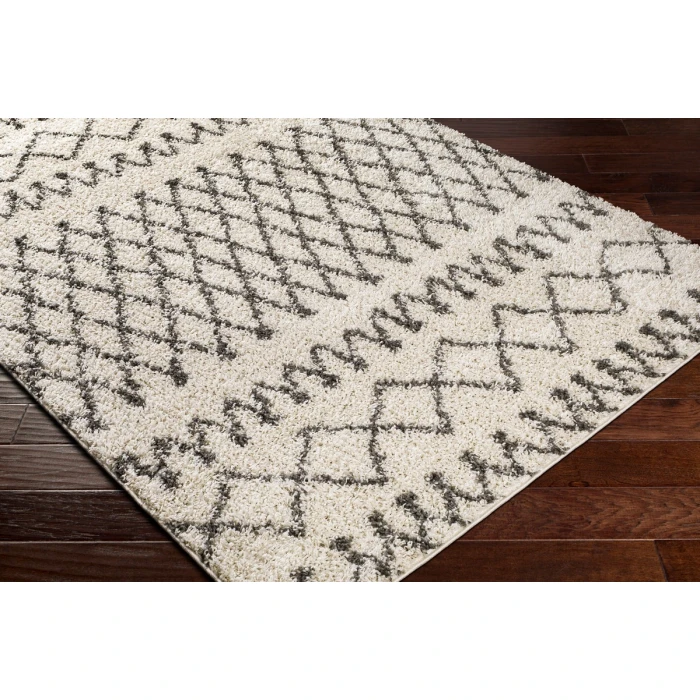 Surya Taza shag TZS-2316 5 2 x 7  Rug