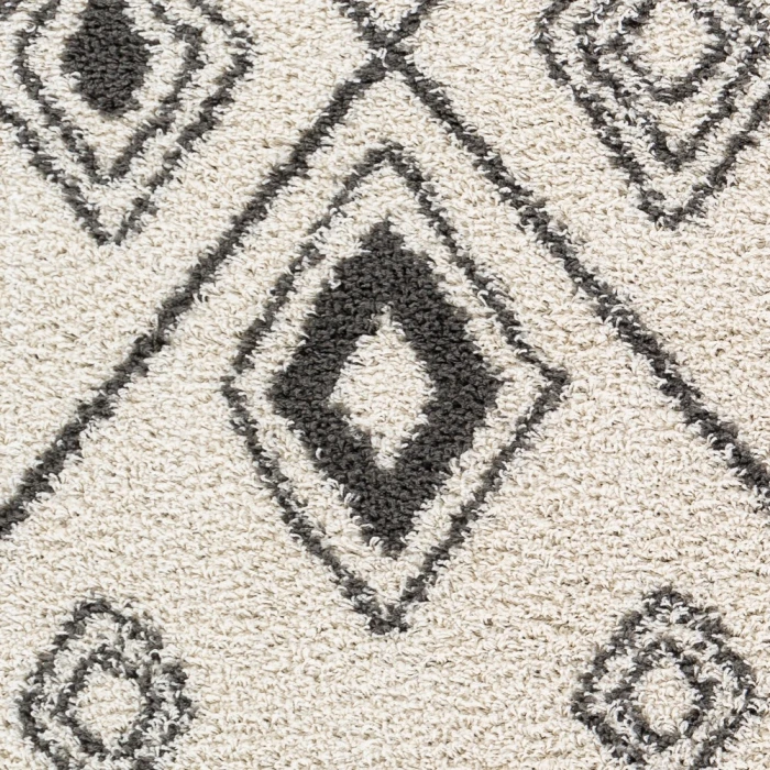 Surya Taza shag TZS-2322 5 2 x 7  Rug