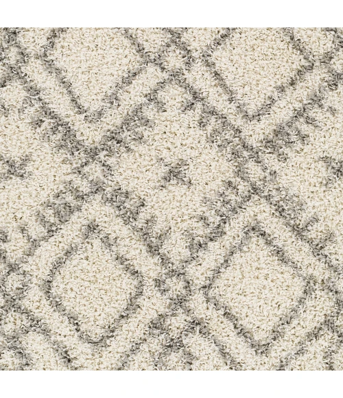 Taza Shag TZS-2305 5'2" x 7' Machine Woven Rug