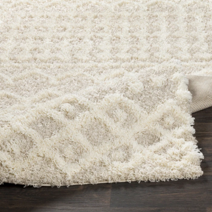 Livabliss Urban Shag USG-2303 Area Rug