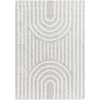 Livabliss Urban Shag USG2314 Light Gray White Area Rug 5 ft. 3 in. X 7 ft. 3 in. Rectangle