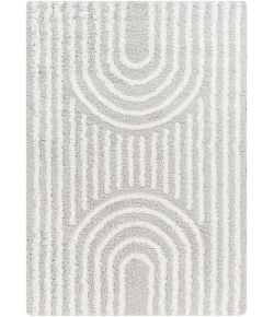 Livabliss Urban Shag USG2314 Light Gray White Area Rug 5 ft. 3 in. X 7 ft. 3 in. Rectangle