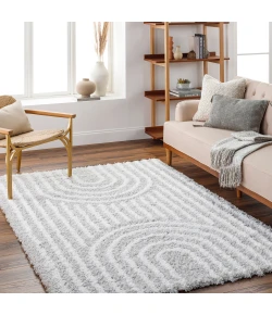 Livabliss Urban Shag USG2314 Light Gray White Area Rug 5 ft. 3 in. X 7 ft. 3 in. Rectangle
