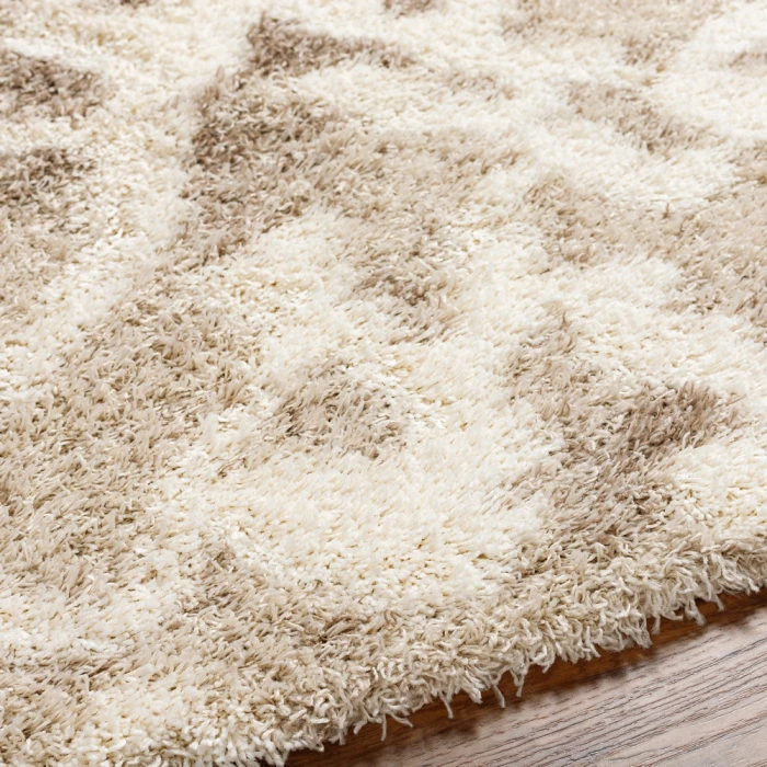 Livabliss Urban Shag Rug USG2323