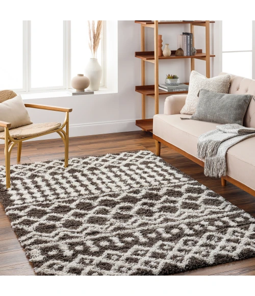 Livabliss Urban Shag Rug USG2342