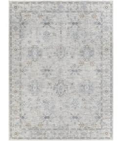 Livabliss Virginia VGN2300 Multi Area Rug 7 ft. 10 in. X 10 ft. 10 in. Rectangle