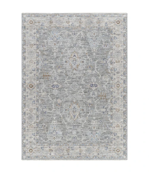 Surya Virginia VGN-2303 4  x 5 5 Rug
