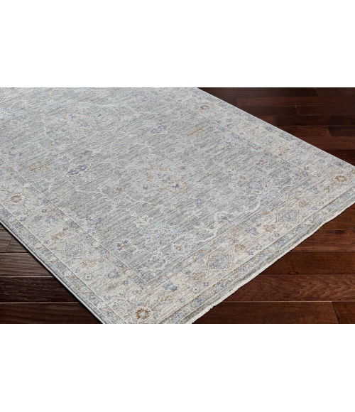Surya Virginia VGN-2303 4  x 5 5 Rug