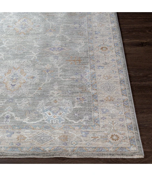 Surya Virginia VGN-2303 4  x 5 5 Rug