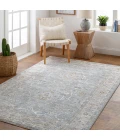 Surya Virginia VGN-2303 4  x 5 5 Rug